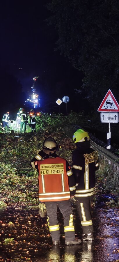 Zwei Einsatzkräfte der Feuerwehr auf einer Straße mit umgestürzten Bäumen.